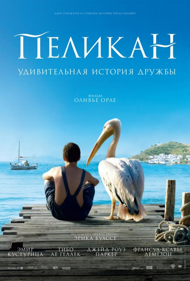 Фильм Пеликан (2011) смотреть онлайн в хорошем качестве